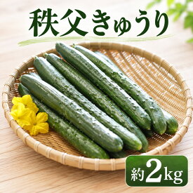 【ふるさと納税】 【約2kg】【高級ブランドきゅうり】秩父きゅうり ／ 野菜 キュウリ 胡瓜 きゅうり ブランドきゅうり みずみずしい 歯切れ 甘み 旨味 新鮮 野菜セット 朝採れ 食卓 サラダ 料理素材 夏野菜 埼玉県 特産 No.216
