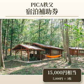 【ふるさと納税】 PICA秩父 15000円相当 宿泊補助券 ／ チケット 宿泊券 送料無料 埼玉県 No.452