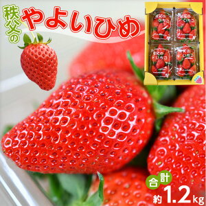 yӂ邳Ɣ[Łz ̂悢Ђ߁@4pbN ^  C`S  ʕ t[c  ʌ No.214