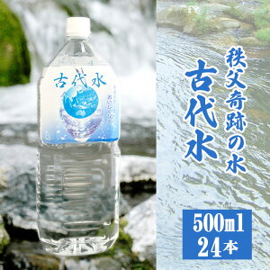 yӂ邳Ɣ[ŁzNo.516 Ñ㐅500ml×24{ ^ ~lEH[^[ ybg{g   AJCI  ʌ