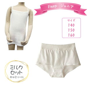 yӂ邳Ɣ[ŁzNo.531 FleepWjAL~\[@~NZbg1Zbg ^ 100 LbY   A_[EFA {  ʌ