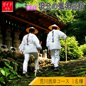 yӂ邳Ɣ[ŁzNo.624 KChtIĊyޒ̏Óur쐼݃R[Xv ^ `Pbg EH[LO  y  WITCg j  _厛 Ύ V㓰 ω 