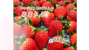 yӂ邳Ɣ[Łz ̐X̂܂@400g ^ ʕ t[c  C`S Â݂ۗ _̏Ȃ N₩ ZԐF ` Y  ʌ No.632