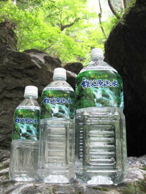 【ふるさと納税】 秩父源流水500ml×24本　2箱 ／ ナチュラルウォーター 500ml 48本 軟水飲みやすい 水 飲み水 料理用 備蓄 家庭用 常温 キャンプ 武甲山伏流水 ミネラルウォーター ペットボトル 平成の名水百選 武甲山伏流水 軟水 弱アルカリ性 送料無料 埼玉県 No.519