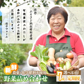 【ふるさと納税】＜定期便あり＞旬の野菜詰め合わせ11種~12種 | 野菜 季節の野菜 旬の野菜 新鮮野菜 産地直送 有機 オーガニック フレッシュ セット 詰め合わせ サラダ 料理 炒め物 スムージー 旬 おいしい 安全 安心 お取り寄せ ギフト おすすめ 世界農業遺産 埼玉県 所沢市