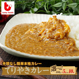 【ふるさと納税】カレー 冷凍カレー てりやきカレー 180g×5袋 / 180g×10袋 タミー食品 | タミーフーズ tamy てりやき カレー 保存食 常備食 ギフト プレゼント 自宅用 おいしい おすすめ 人気 本格 中辛 甘口 子供 お子様カレー たまねぎ 埼玉県 所沢市