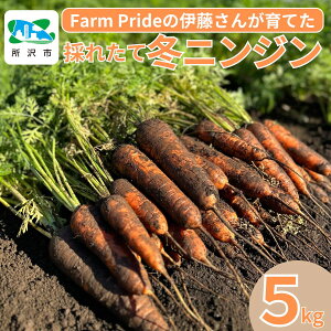 yӂ邳Ɣ[ŁẑꂽĂ̐iI~jW5kg ʗ_(ق܂) Farm Pride | lQ ɂ񂶂 jW Lbg  ΉF X[W[ XeBbN  ϕ J[ V`[ W[