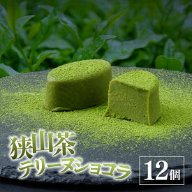 【ふるさと納税】狭山茶テリーヌショコラ 12個入り エミール | 洋菓子 お菓子 ギフト 贈答 贈り物 プレゼント 個包装 小分け スイーツ おやつ 抹茶 狭山茶 ショコラ チョコ チョコレート おすすめ emile 埼玉県 所沢市