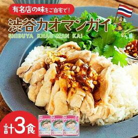 【ふるさと納税】渋谷カオマンガイ 弁当パッケージ 3食入り | カオマンガイ 蒸し鶏 鶏肉 タイ料理 タイ屋台 弁当 ピリ辛 本格的 定番 ご自宅用 冷凍食品 冷凍 DineVita Group株式会社 埼玉県 所沢市