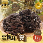 まいたけ 黒舞茸 真 1kg　【 舞茸 きのこ マイタケ 】　お届け：発注後、1か月程度（生育状況により出荷日数が前後する可能性もありますので、あらかじめ御承知おきください。）