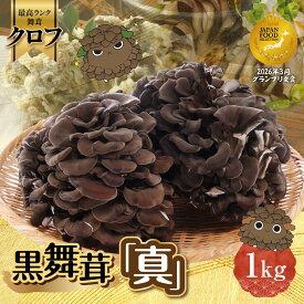 【ふるさと納税】黒舞茸「真」 1kg　きのこ マイタケ 　お届け：発注後、1か月程度（生育状況により出荷日数が前後する可能性もありますので、あらかじめ御承知おきください。） HNNAW001