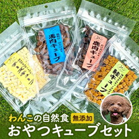 楽天市場 ムーミン ペット ペットグッズ の通販