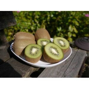 yӂ邳Ɣ[Łz}LmL̃LECt[cywC[hz4kg[52210462] ʕ  @͂F2025N12{`2026N1{