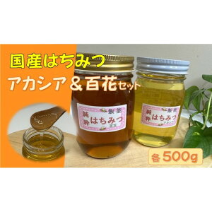 yӂ邳Ɣ[ŁzY݂͂Hה׃Zbg(SԂƃAJVA)e500g[52210572] I n`~c 1kg @͂FA2TԒx