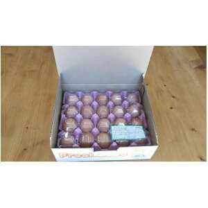 yӂ邳Ɣ[Łzє\Y܂ 20[52210675] @͂FA2`3TԒx izԂ106܂Ł12͔zs̂߁AN1{ȍ~珇zƂȂ܂