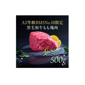 yӂ邳Ɣ[ŁzA5 BMSNo.10 јa ubN 500g[52210700]    ŏ㋉  Mtg{bNX 蕨 ōi ɘa @͂FA1x