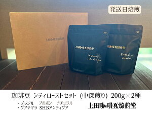 yӂ邳Ɣ[Łzyc蓤z蓤 [ Zbg 200g×2 Zbg uWu{EOAe}SHByz [52210994]@͂F2TԒx