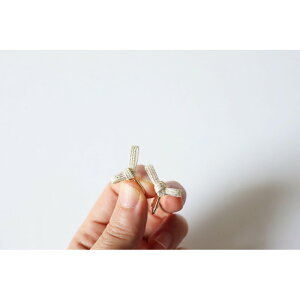 yӂ邳Ɣ[Łzmusubi p[ CO m52211038n@͂FA2TԒx