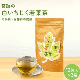 【ふるさと納税】白いちじく茶（3袋）/農薬・化学肥料不使用/ファーストフラッシュ