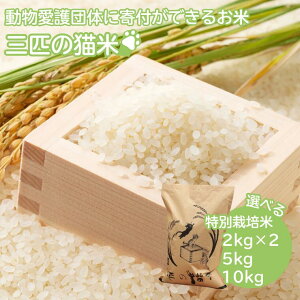 yӂ邳Ɣ[ŁzOC̔L/یɌg/ʍ͔| 4kg`10kgIׂeʁI