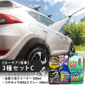 【ふるさと納税】【カーケア／洗車】3種セットC　【掃除】車【洗車】 自動車 水垢 大容量 【カーケア】【大掃除】掃除 グッズ 日用品 洗車用品 洗剤 車用洗剤 汚れ落とし 本体 大 生活用品 液体洗剤 家族 家庭 消耗品 まとめ買い 詰め合わせ セット