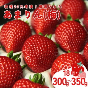 yӂ邳Ɣ[Łz1`ystz܂i~j300`350gy䕁z C`S  XC[c  ʕ ӂ邳Ɣ[  ܂ t[c Ԍ lC ܂邢 Â 