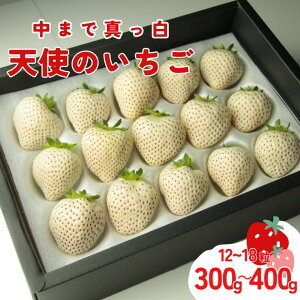 yӂ邳Ɣ[Łzy1`zVĝ@350`400g@@y䕁z C`S  XC[c ʕ ӂ邳Ɣ[  ܂ t[c Ԍ lC ܂邢 Â  {