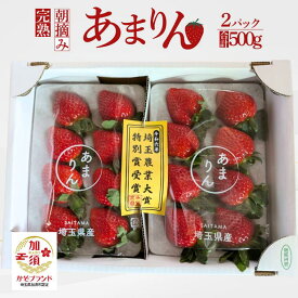 【ふるさと納税】《先行予約》「埼玉農業大賞特別賞」を受賞！ 完熟朝摘み あまりん　250g×2　(8粒～15粒)　【苺】 イチゴ おおきい スイーツ あかい 果物 いちご フルーツ 期間限定 人気いちご 甘い いちご 旬 直送 おすすめいちご ストロベリー 苺ジャム いちご