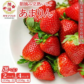 【ふるさと納税】《先行予約》「埼玉農業大賞特別賞」を受賞！ 完熟朝摘み あまりん【苺】 イチゴ おおきい スイーツ あかい 果物 いちご フルーツ 期間限定 人気いちご 甘い いちご 旬 直送 おすすめいちご ストロベリー 苺ジャム いちご
