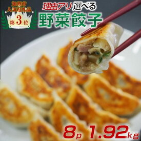 【ふるさと納税】【訳あり】冷凍野菜餃子：4パック or 8パック