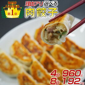 【ふるさと納税】【訳あり】肉汁溢れる冷凍肉餃子 ：4パック or 8パック