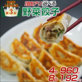 【ふるさと納税】【訳あり】冷凍野菜餃子：4パック or 8パック