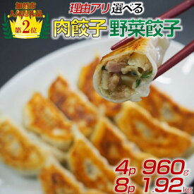 【ふるさと納税】【訳あり】食べ比べ餃子セット（冷凍　肉・野菜餃子）：4パック or 8パック