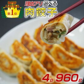 【ふるさと納税】【訳あり】肉汁溢れる冷凍肉餃子 ：4パック or 8パック【定期便アリ】
