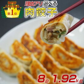 【ふるさと納税】【訳あり】肉汁溢れる冷凍肉餃子 ：4パック or 8パック