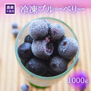 yӂ邳Ɣ[ŁzVNt@[Y@Ⓚu[x[@600g or 1000g