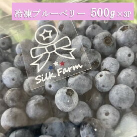 【ふるさと納税】シルクファーム産　冷凍ブルーベリー1500g（500g×3パック）
