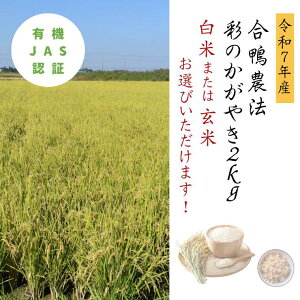 yӂ邳Ɣ[Łzyߘa7NYz_@@ʂ̂₫2kgIׂIorā