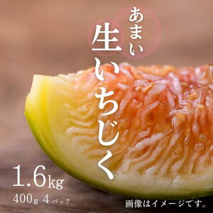 yӂ邳Ɣ[Łz܂1600g