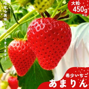 yӂ邳Ɣ[Łzuh@ʐ܂̊󏭂w܂@嗱xi450gȏjyׂꂪCɂȂȂzy䕁z C`S  XC[c  ʕ  t[c 