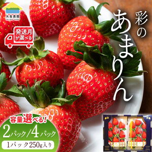 yӂ邳Ɣ[Łzs\yeʁEzIׂzʌ{sY  ʂ̂܂ 250g×2pbN 250g×4pbN 2025N12{珇   C`S Xgx[ Vi 