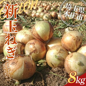 yӂ邳Ɣ[Łz 2026Ns\ ʌ{sY uh Vʂ˂ 8kg 2026N5{珇  ₳ ʔK ܂˂ ^}lM IjI Â Hi ֓ F5K-471