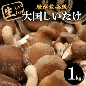 yӂ邳Ɣ[Łz Iō w卑x 1kg F5K-529