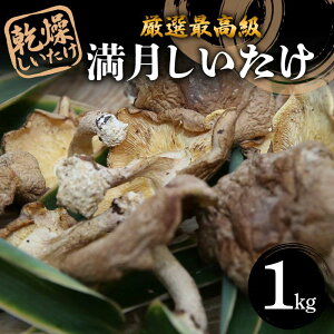 yӂ邳Ɣ[Łz Iō wx 1kg F5K-530