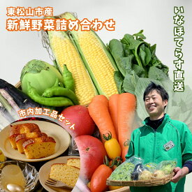 【ふるさと納税】東松山市産季節の野菜&市内産加工品詰合せセット | 野菜 野菜セット 季節 旬 新鮮野菜 かぶ レタス キャベツ のらぼう菜 トマト オクラ 玉ねぎ ニンニク きゅうり ナス ニンジン ネギ ズッキーニ インゲン 梨ゼリー パウンドケーキ せんべい 埼玉県 東松山市