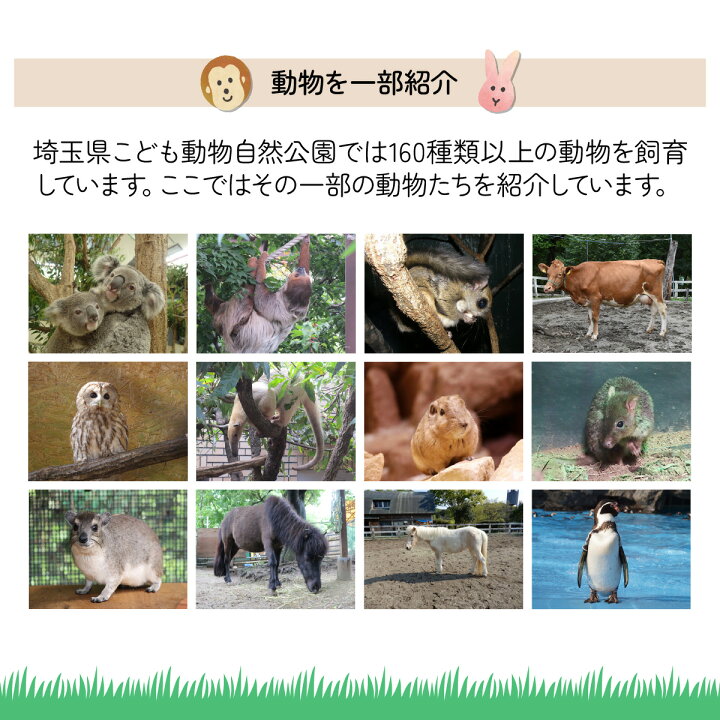 【ふるさと納税】イズー カワズー (大人2名・子供1名） 共通入園券 爬虫類 動物園 河津町 観光　 チケット 入園チケット 日本最大級 近距離 希少な動物 体感型動物園 カエル專門施設 お出かけ