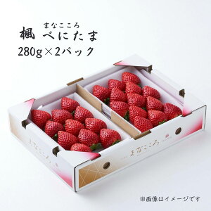 yӂ邳Ɣ[Łzs\񁄂ׂɂ y280g×2pbNz܂ȂE | ׂɂ xj^} C`S     VN  2P ^S_ ʕ t[c R Â  W[V[ 