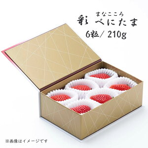 yӂ邳Ɣ[Łzs\񁄂ׂɂ ʌI ܂ȂEʁi210gy6zj | ׂɂ xj^} C`S   VN 嗱  ^S_ ʕ t[c R Â  W[V[ 