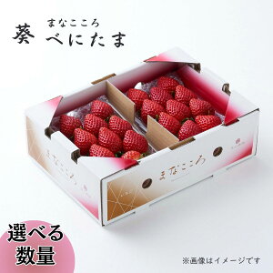 yӂ邳Ɣ[Łzs\񁄂ׂɂ ܂Ȃ  1(260g×2pbN) or 2(260g×4pbN) | ׂɂ xj^} C`S      2P ^S_ ʕ t[c R Â 