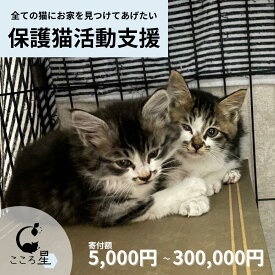 【ふるさと納税】保護猫 活動支援 5,000円 / 10,000円 / 30,000円 / 50,000円 / 100,000円 / 300,000円 お礼の品なし 野良猫から地域で見守るさくら猫に | 猫 ねこ 保護猫活動 里親 動物保護 ペット保護 猫愛好家 ペットアドプション ねこ活動 こころ星 埼玉県 東松山市